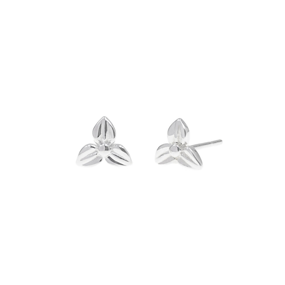 Aretes Armonia Plata 925