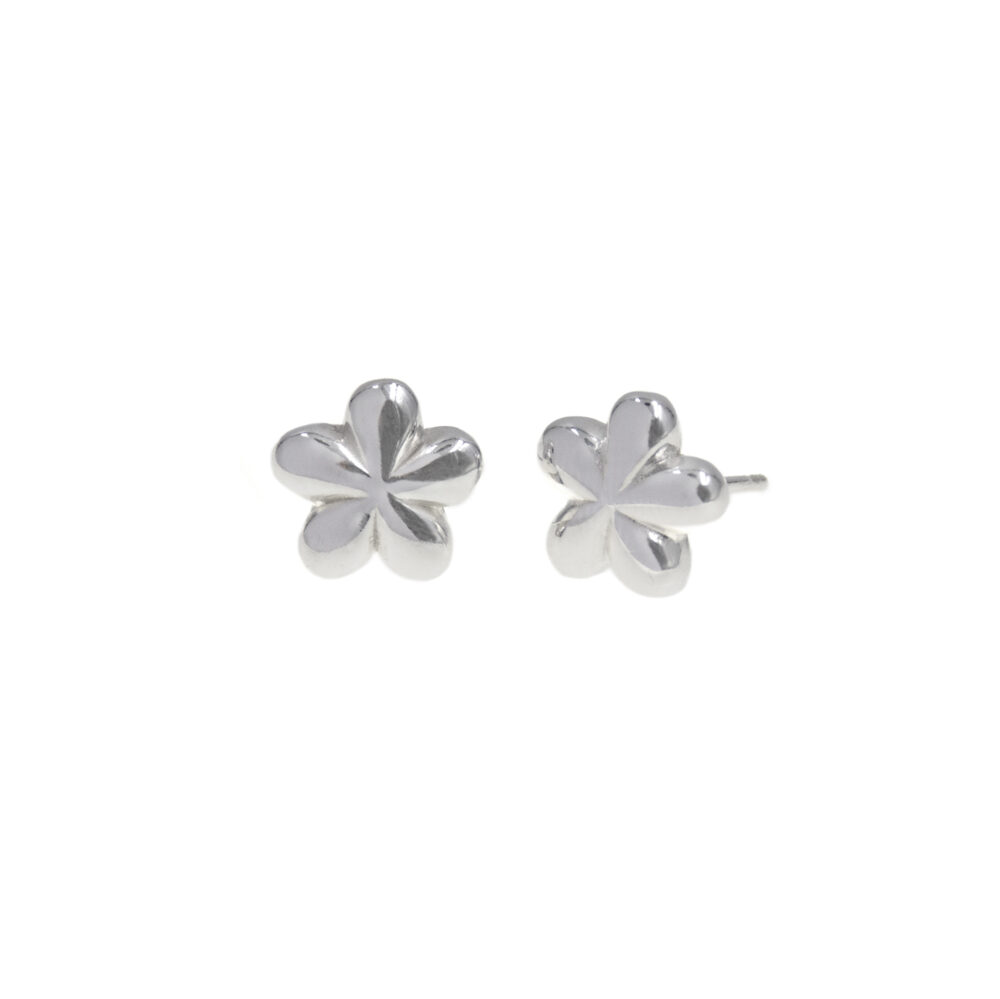 Aretes Camille Plata 925